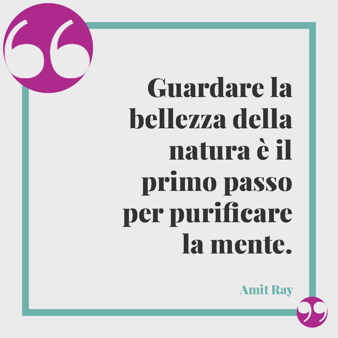 Frasi sul relax. Guardare la bellezza della natura è il primo passo per purificare la mente. (Amit Ray)