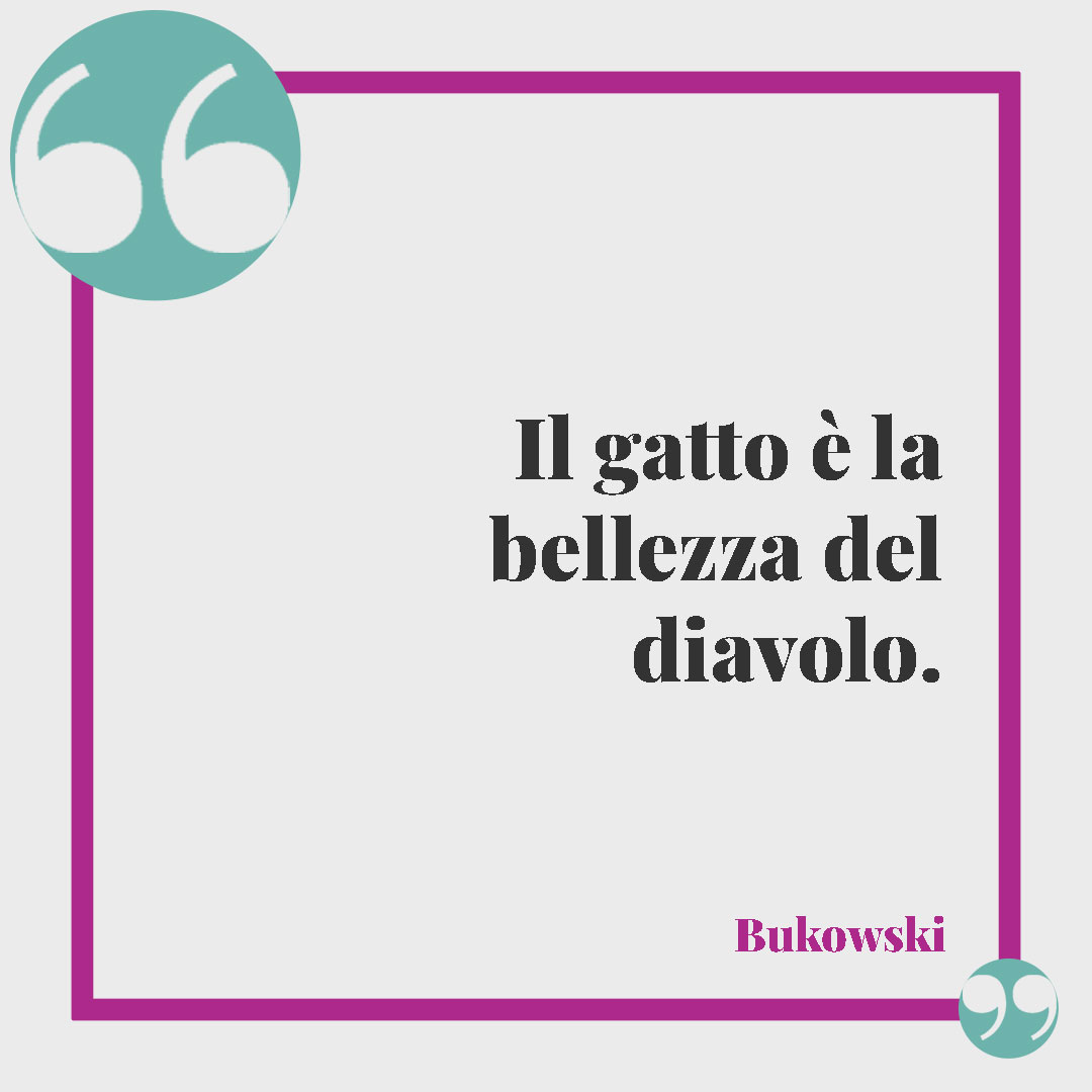 Frasi sui gatti. Il gatto è la bellezza del diavolo. Bukowski