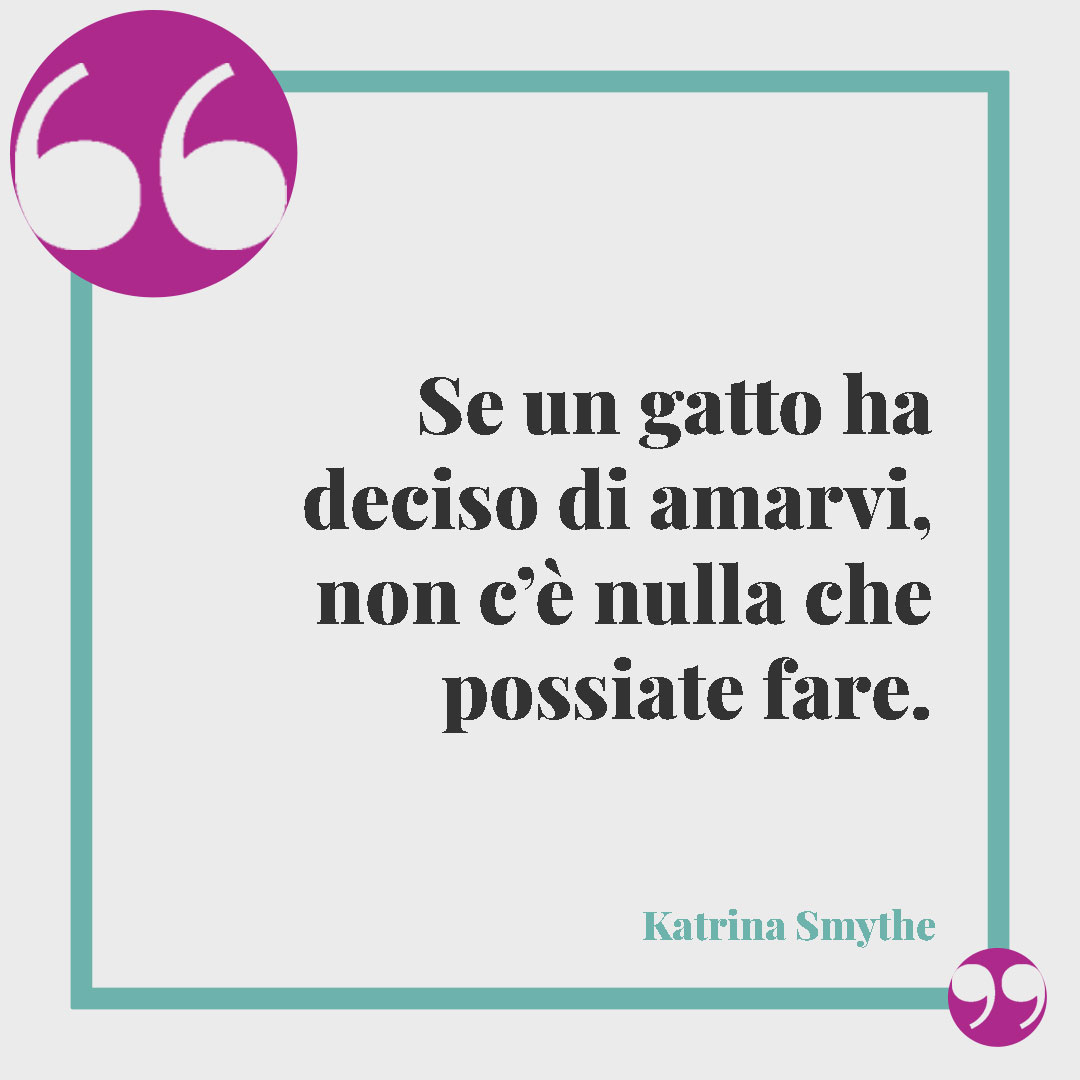 Frasi sui gatti. Se un gatto ha deciso di amarvi, non c’è nulla che possiate fare. (Katrina Smythe)