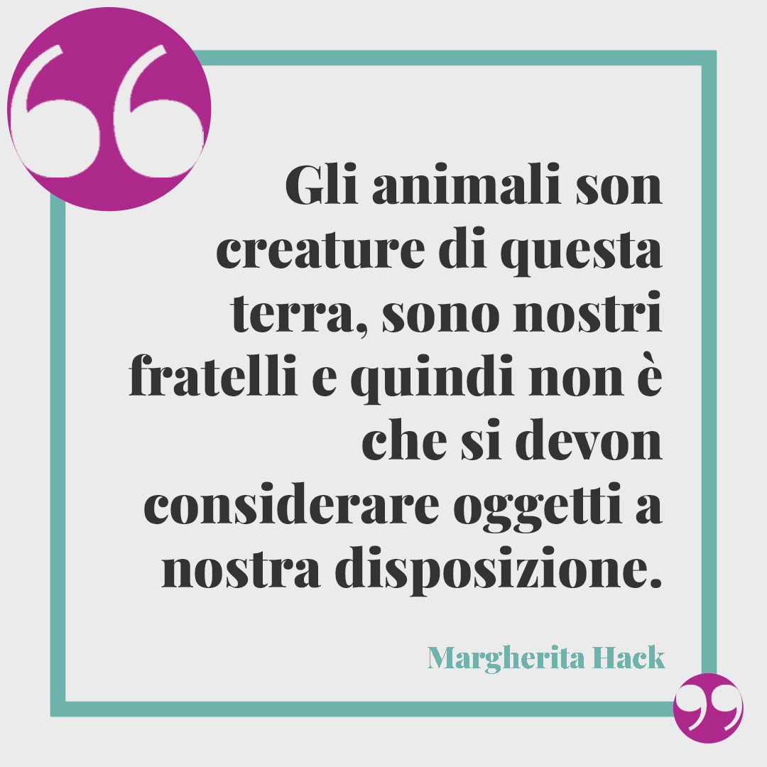Frasi di Margherita Hack. Gli animali son creature di questa terra, sono nostri fratelli e quindi non è che si devon considerare oggetti a nostra disposizione.