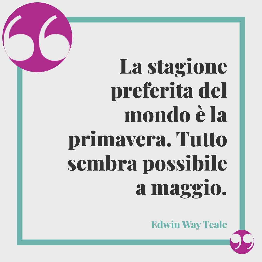 Frasi sulla primavera. La stagione preferita del mondo è la primavera. Tutto sembra possibile a maggio. (Edwin Way Teale)