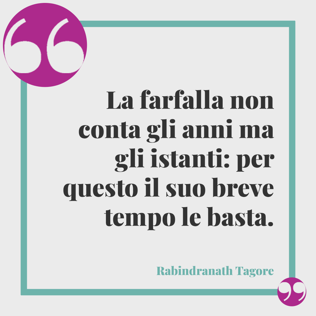 Frasi sulle farfalle