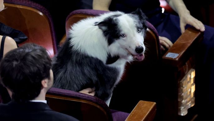 Il cane Messi