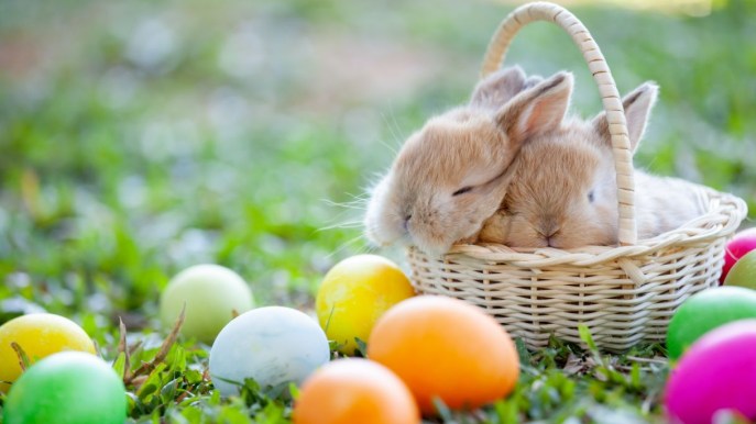 Simboli della Pasqua, quali sono e il loro significato