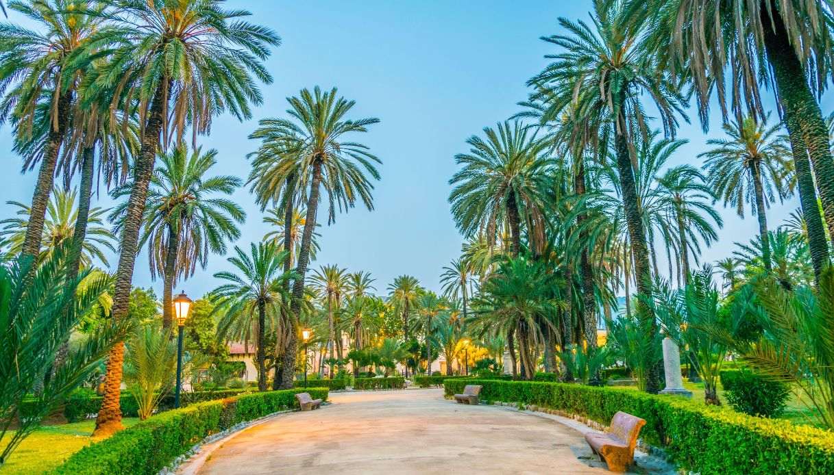Le palme di Villa Bonanno
