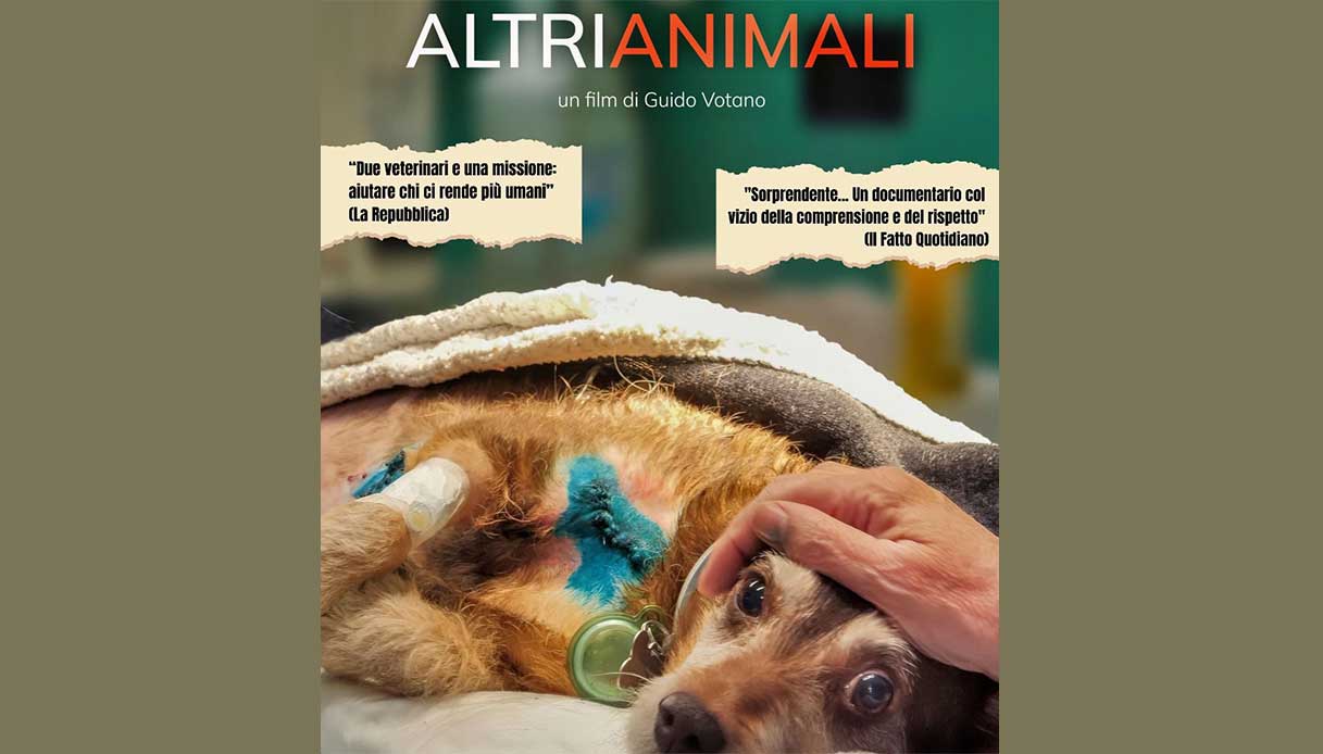 La locandina del film "Altri animali"