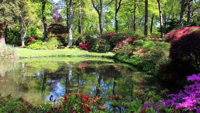 Esempio di giardino all'inglese