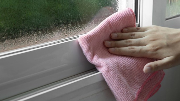 Umidità in casa, i valori corretti e cosa fare se è troppo alta
