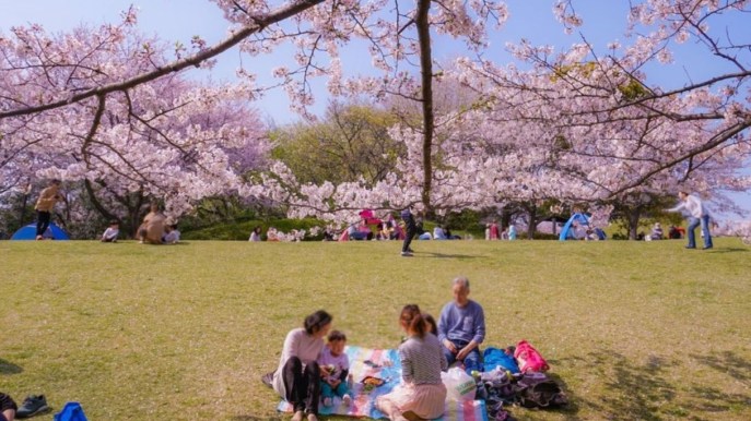 Hanami, la bellezza fugace che ci fa stare bene