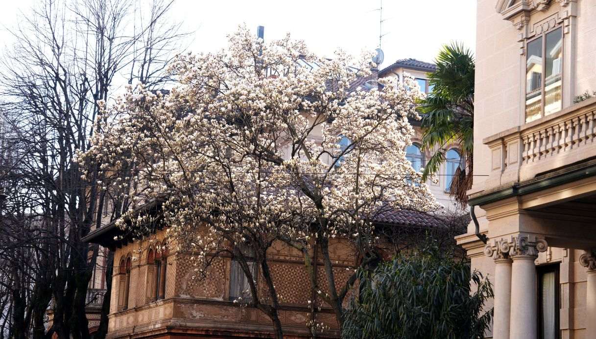 La primavera a Milano