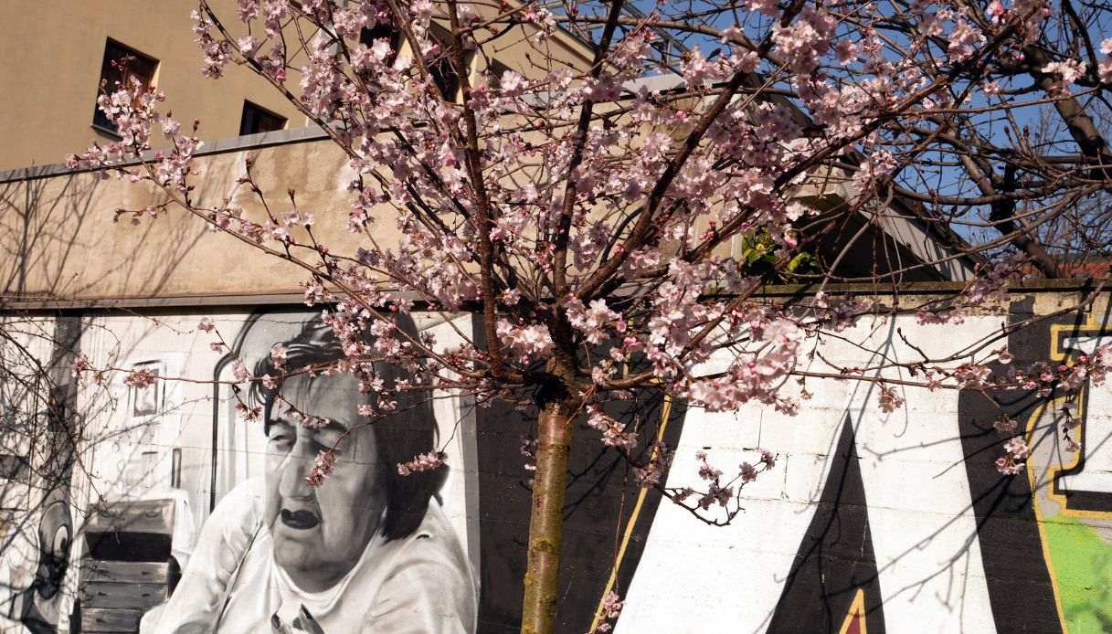 Milano in fiore
