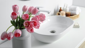 I fiori più adatti per arredare il bagno in primavera