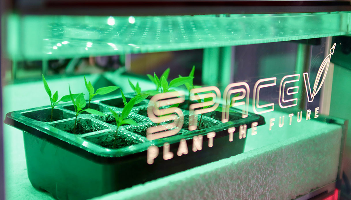 Euroflora 2025 serra spaziale