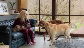 #acasadi Antonella Clerici nel bosco, il giardino è un’oasi verde di relax