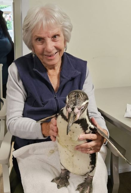 Una residente insieme a uno dei pinguini ospiti