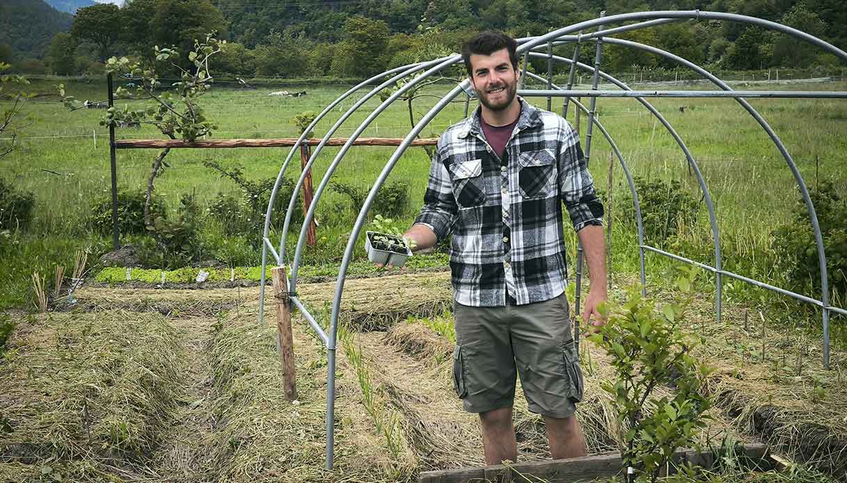 Preparare il terreno e trapiantare: ogni gesto dell’orto ha valore