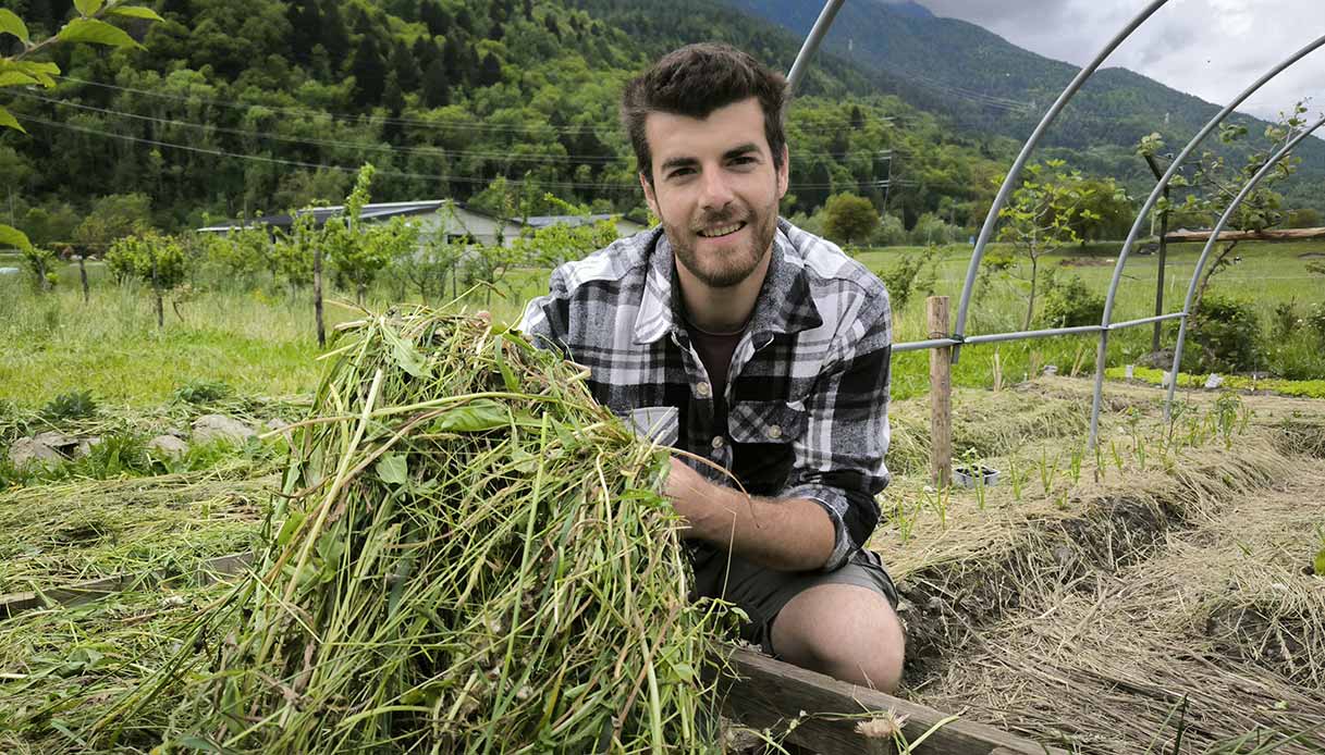 La pacciamatura con fieno protegge il suolo, trattiene l’umidità e nutre la terra