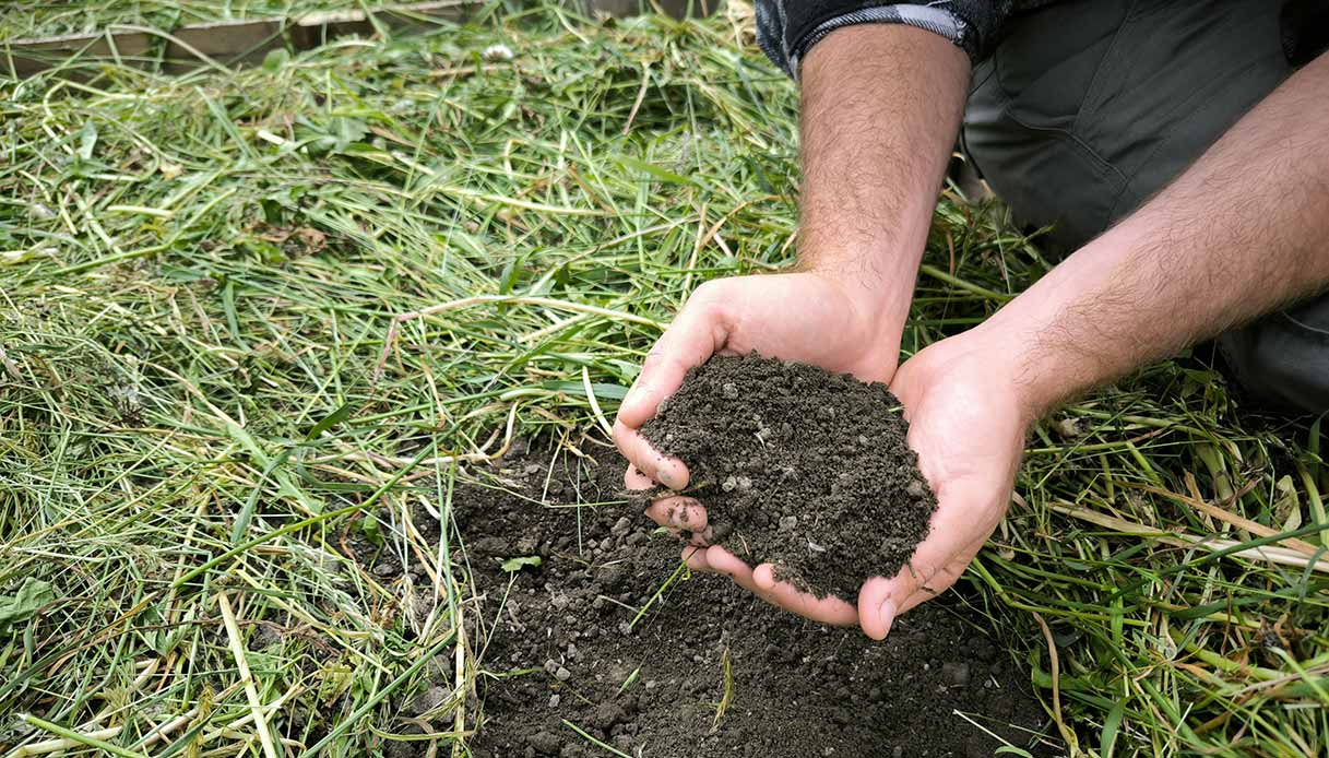 Il compostaggio è alla base di un suolo vivo e fertile, vero alleato dell’orto