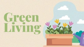 Zanzare in giardino, prevenzione naturale e bellezza che fa bene alla biodiversità