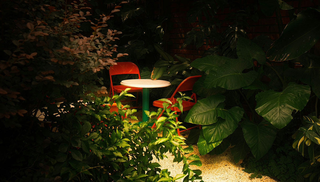 Una zona relax nascosta tra le piante prende vita grazie a una luce morbida e puntuale