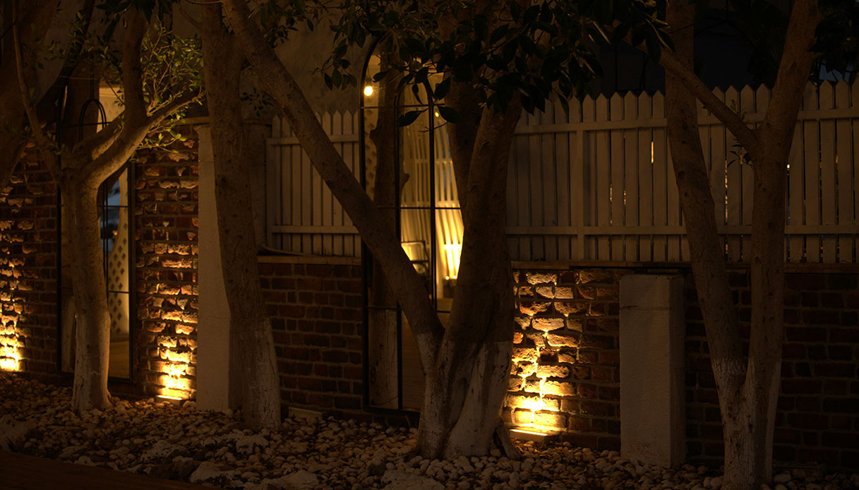 Illuminazione radente per alberi e pareti: un tocco architettonico elegante