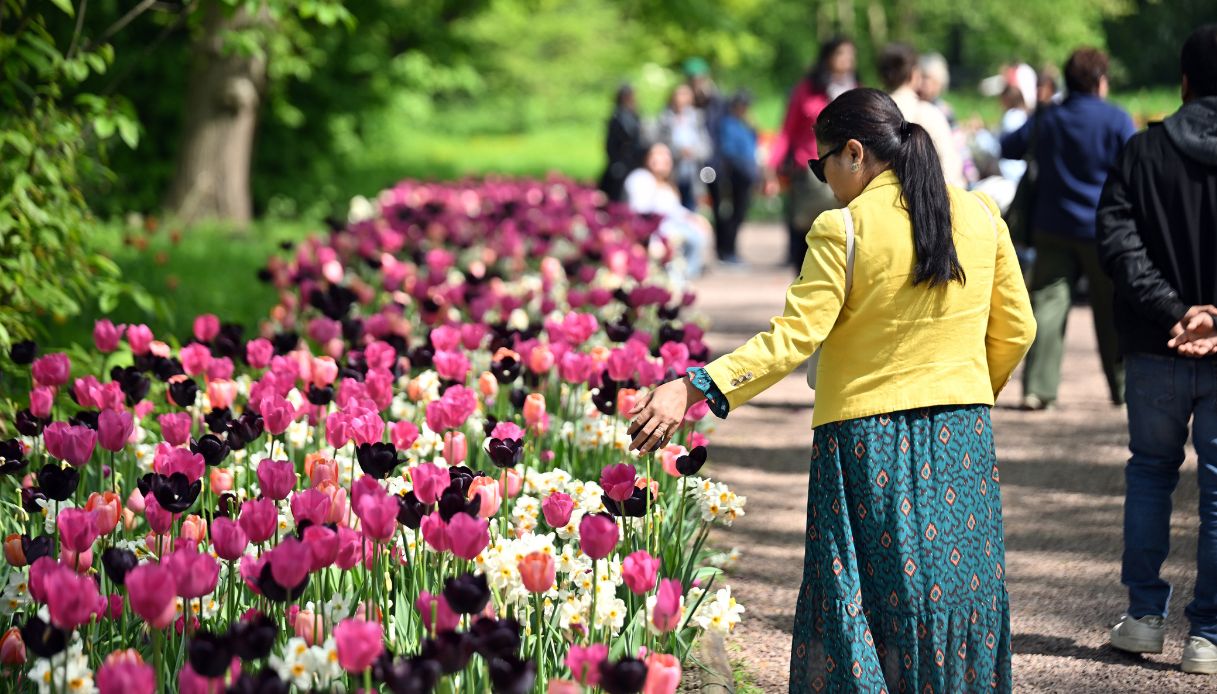 L'esposizione floreale nel parco del castello
