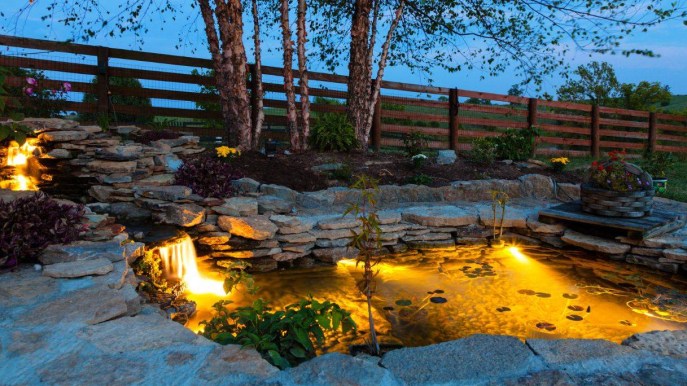 Stagno, come e perché realizzarlo nel tuo giardino