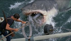 Lo Squalo compie 50 anni, 5 curiosità da brividi del film di Steven Spielberg