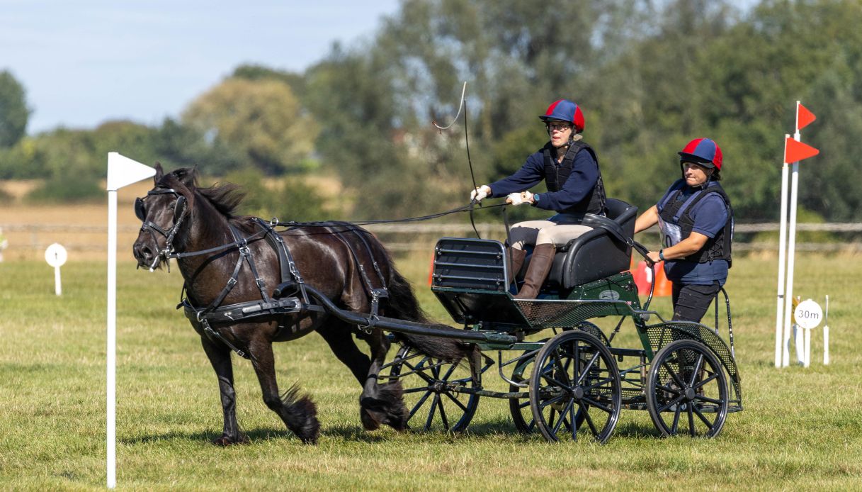 Lady Louise Windsor partecipa ai campionati nazionali britannici di guida di carrozze