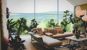 Verde in casa, le piante ideali per un ambiente domestico confortevole