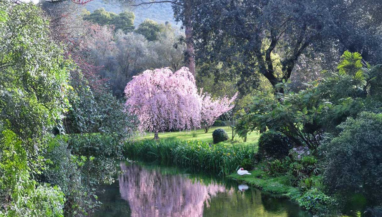 vegetazione rigogliosa del Giardino di Ninfa