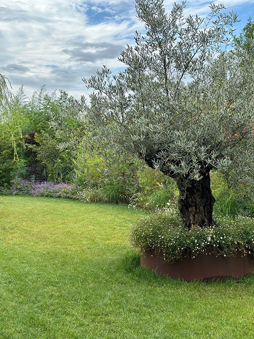 Nature Design