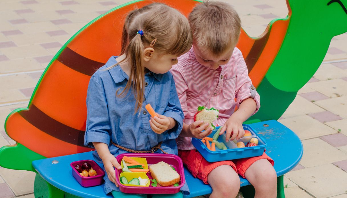 lunch merenda box bambini