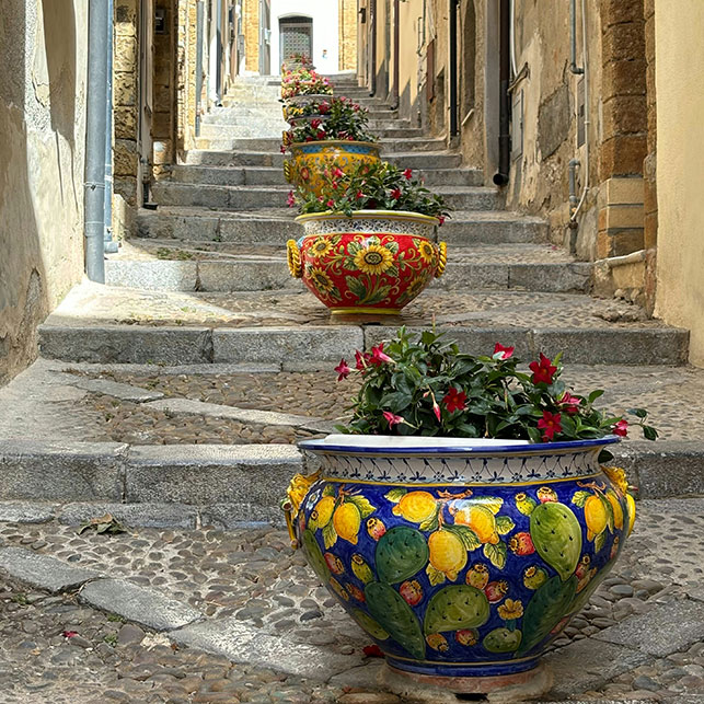 Grandi vasi in ceramica colorata decorati con fiori e fichi d’India su una scalinata