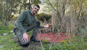 Zanzare in giardino, prevenzione naturale e bellezza che fa bene alla biodiversità