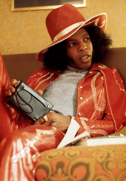 Il musicista Sly Stone