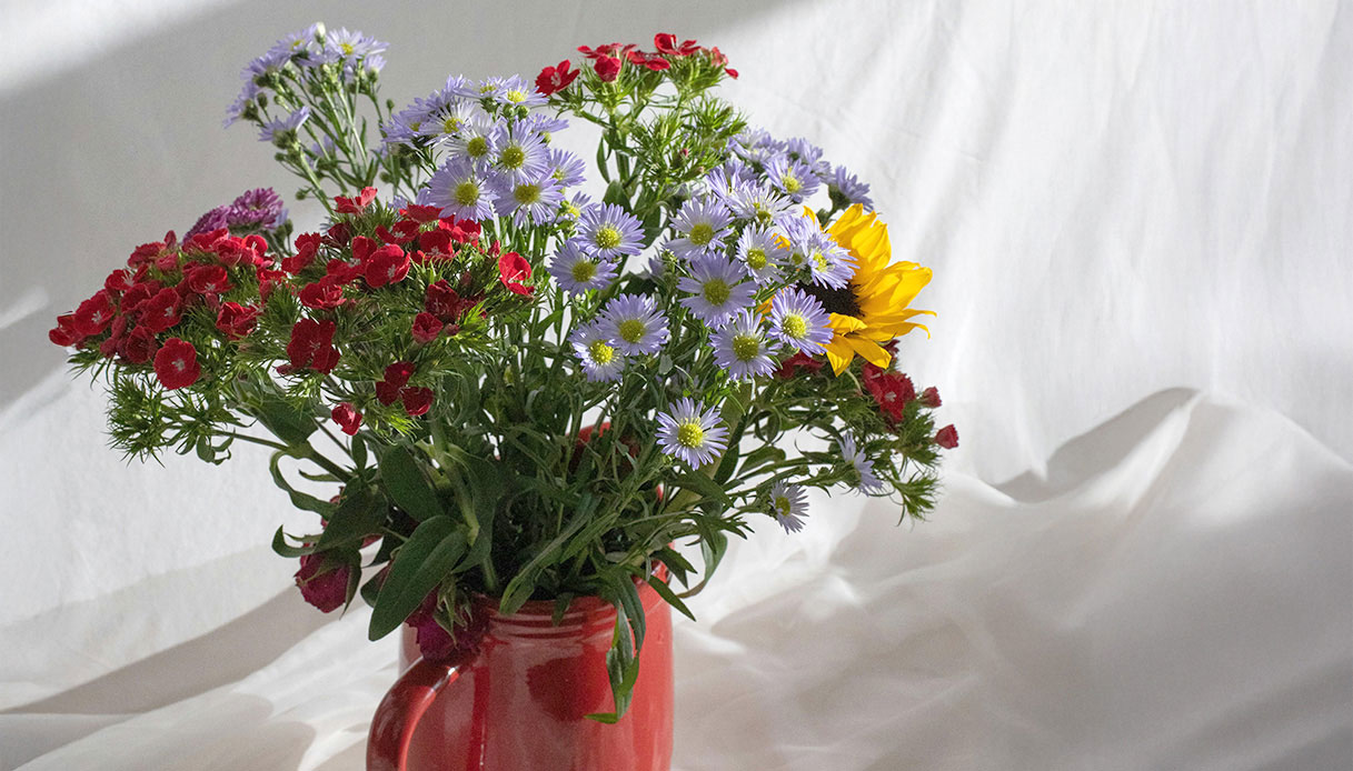 Mazzo di fiori estivi in brocca rossa su fondo chiaro