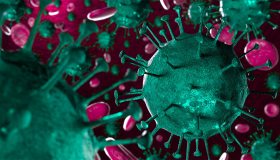 Covid, variante Stratus, cosa ne sappiamo e come si presenta: nuove speranze per la cura del Long-Covid
