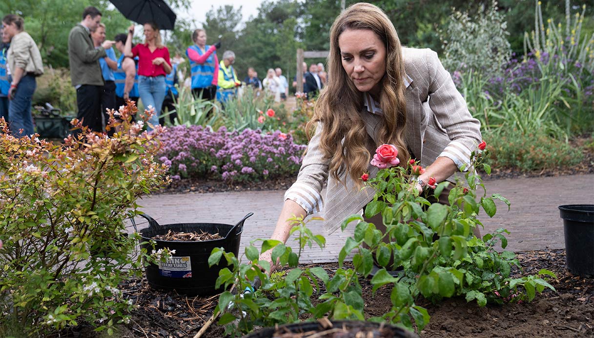 Kate Middleton